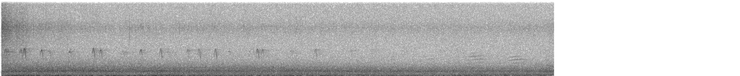 "Шишкар ялиновий (Northeastern, або тип 12)" - ML613567522