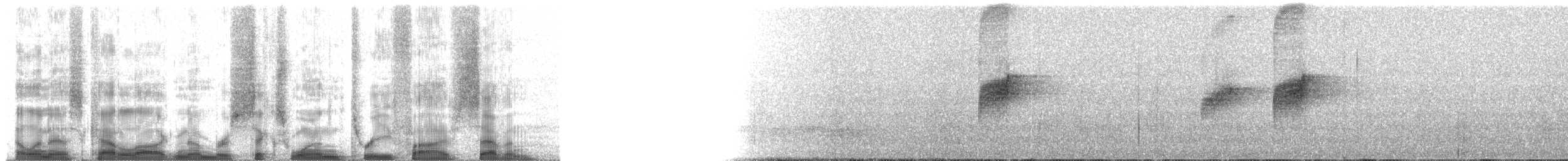 Мухоїд світлогорлий (підвид sulphurescens) - ML61357