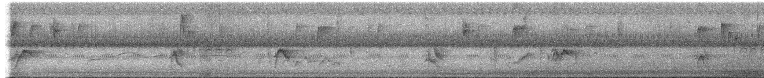 Дрізд-короткодзьоб малий - ML613572476