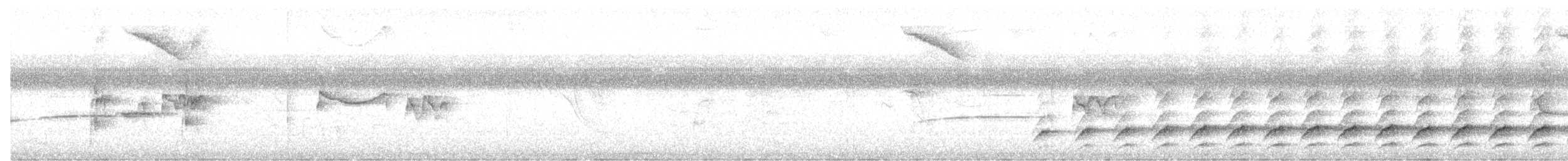 Yazılı Kara Ağaçkakan - ML613575404