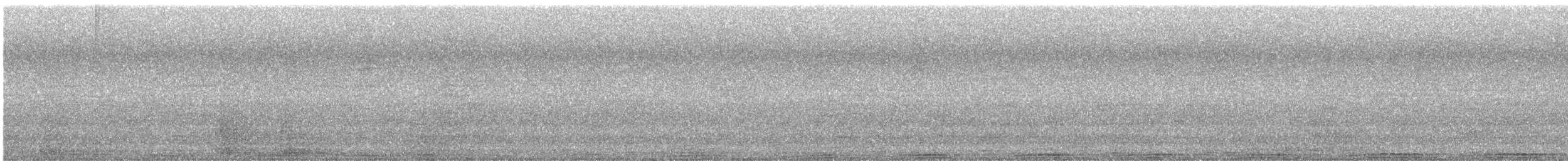 カワラバト（ドバト、家畜型） - ML613575769
