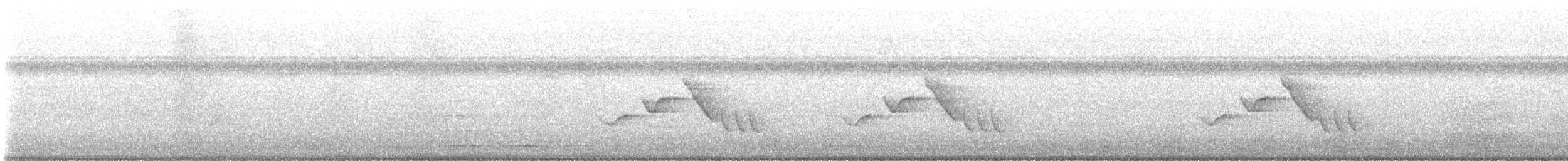 Гвианский крапивник - ML613575872