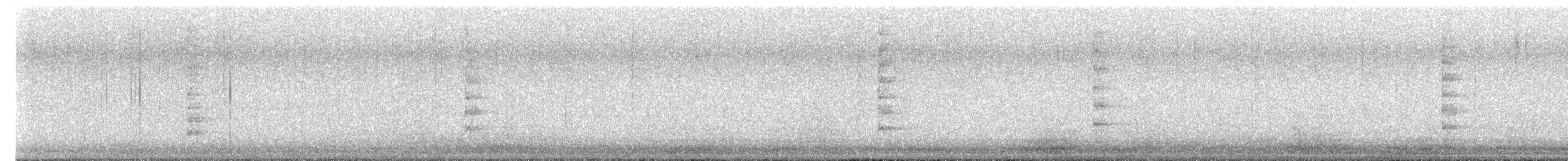 mesquitespett (aurifrons) - ML613576786