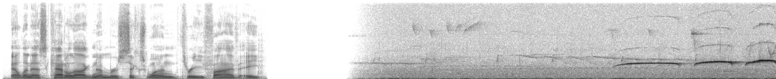 Tufted Antshrike - ML61358