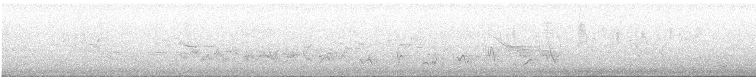 Черноголовый толстонос - ML613580381