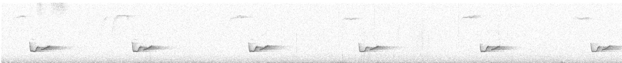 Troglodyte à poitrine grise - ML613583872