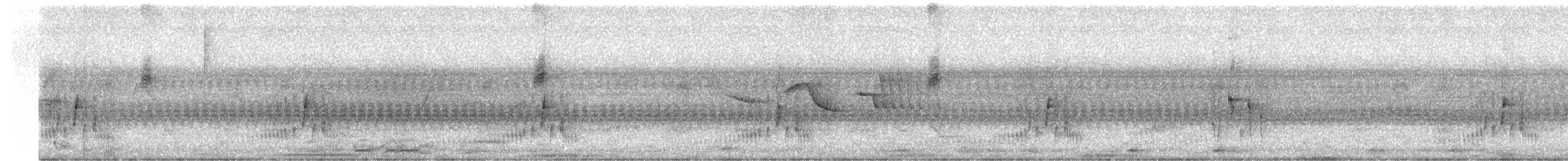 Серогрудый трескунчик - ML613587934