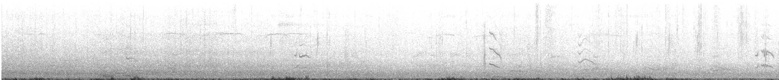 Попугай Крамера - ML613589506