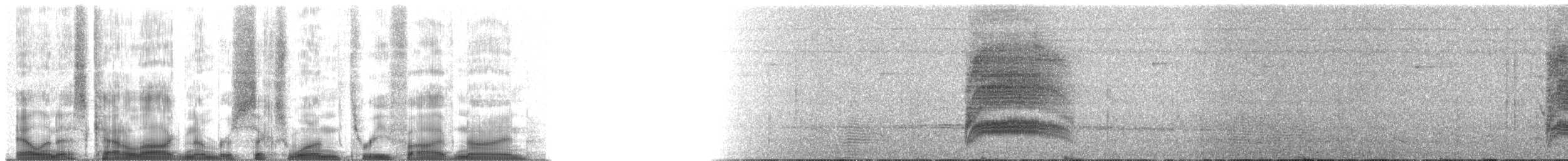 duskmaurvarsler - ML61359