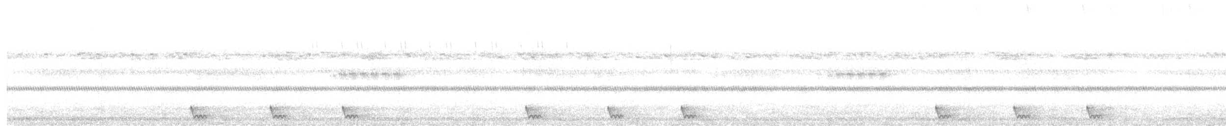 Large-tailed Nightjar - ML613591234