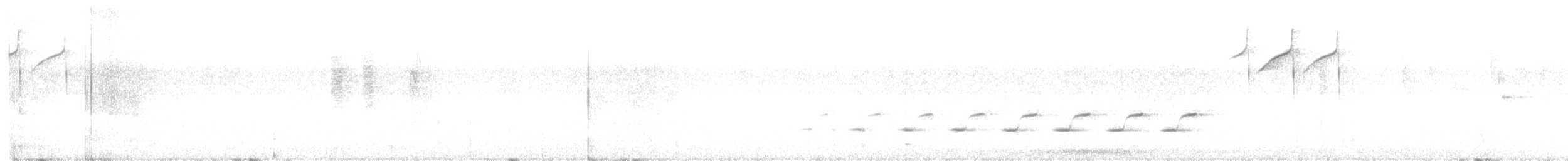 Spotted Quail-thrush - ML613591318