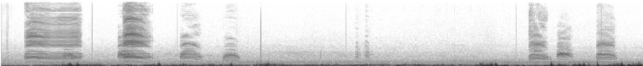 紐澳紅嘴鷗 - ML613591600