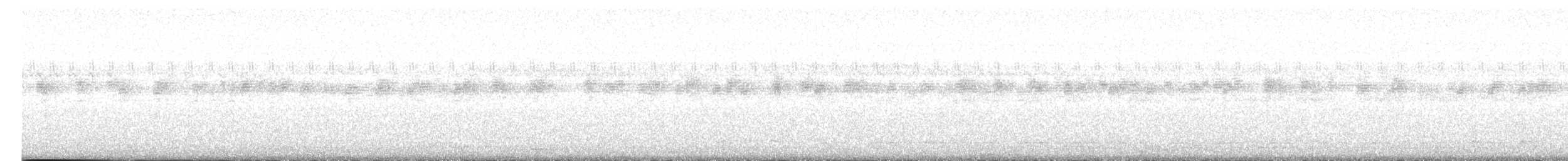 øgleugle (brasilianum gr.) - ML613593753