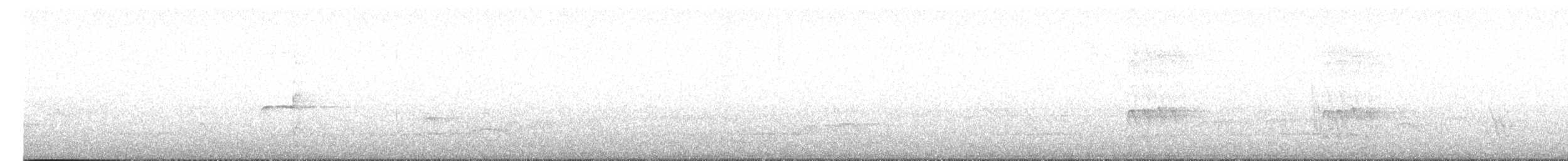 Northern Beardless-Tyrannulet - ML613594025