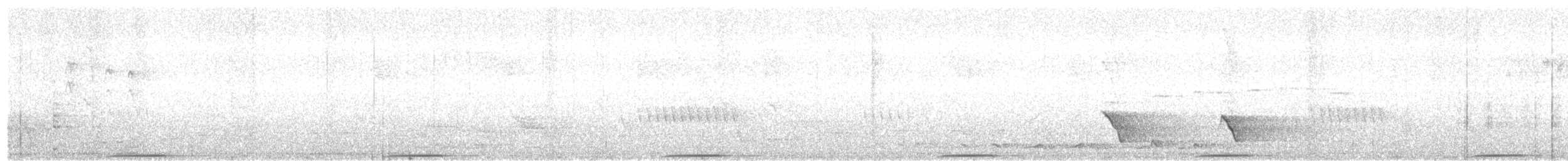 holub pestrokřídlý - ML613595358