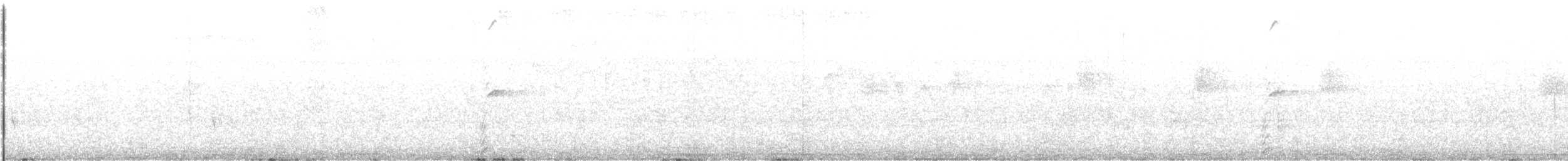 potápka nejmenší - ML613596589