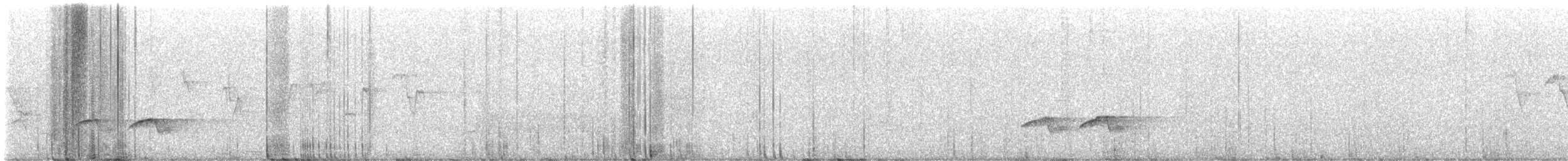 Herrerillo Bicolor - ML613599470
