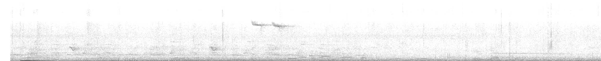 Plain Chachalaca - ML613600039