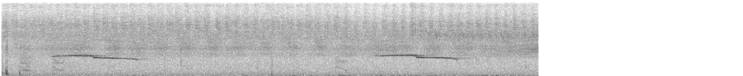 Длиннохвостая батара - ML613600153