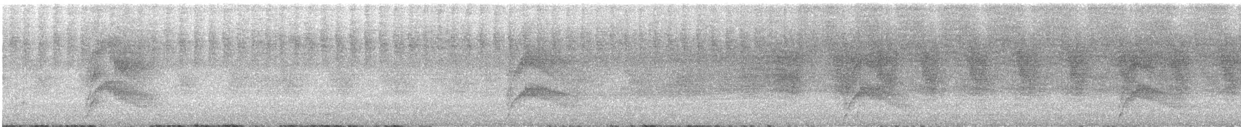 Длиннохвостая батара - ML613600154