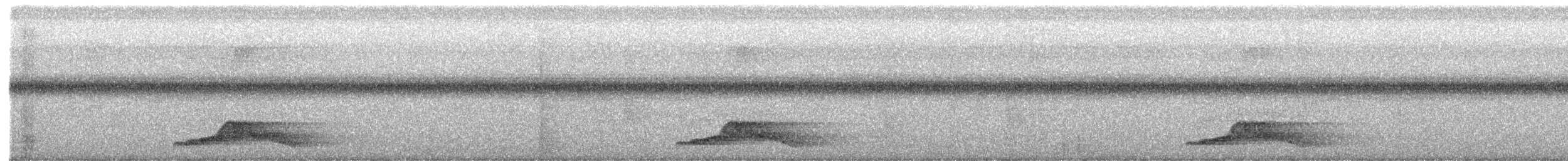 Common Pauraque - ML613600171