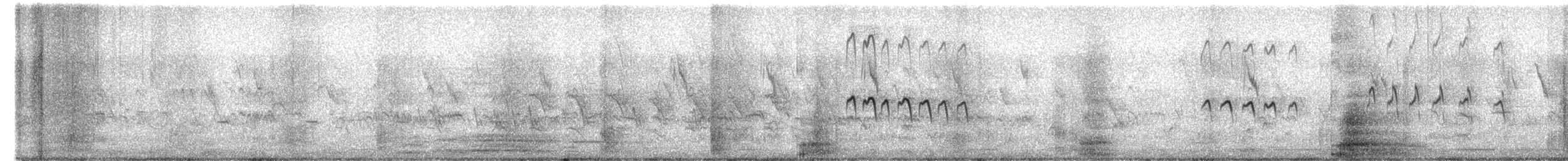 Small Pratincole - ML613600763