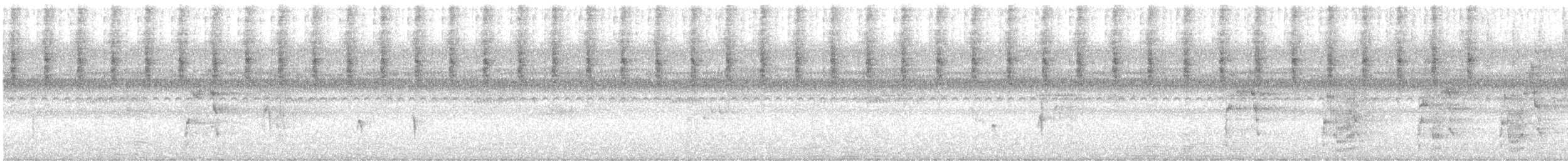 arassari hnědouchý - ML613601282