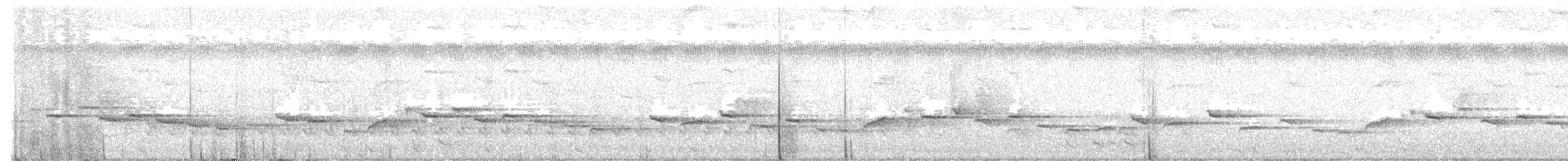 Kabarık Gerdanlı Ardıçesmeri - ML613601665