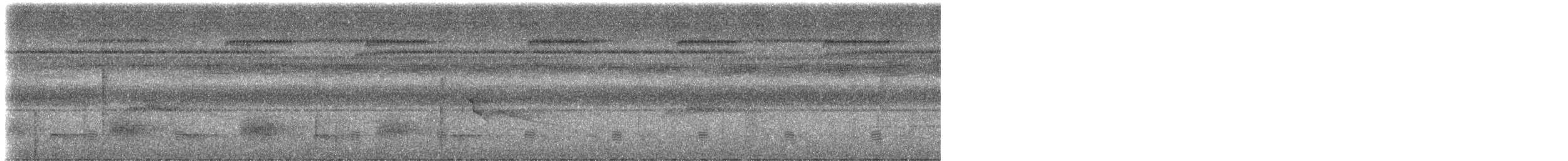 Plumbeous Kite - ML613603193
