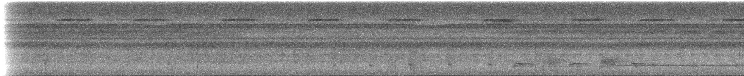 kremstrupetreløper (guttatoides/dorbignyanus) (pantreløper) - ML613603202