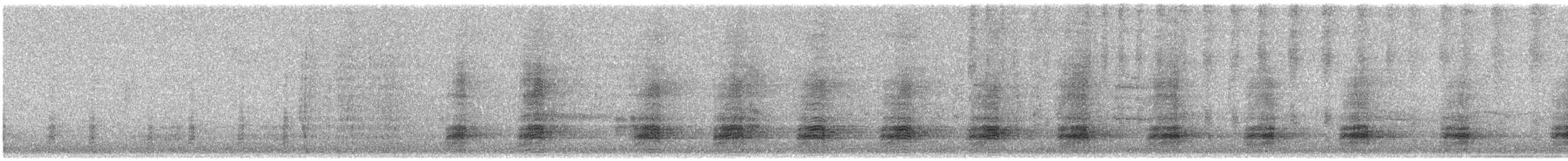 Stockente - ML613607310