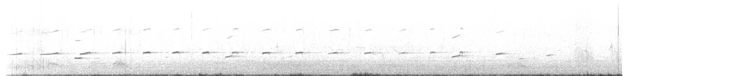 Magellanic Oystercatcher - ML613607541