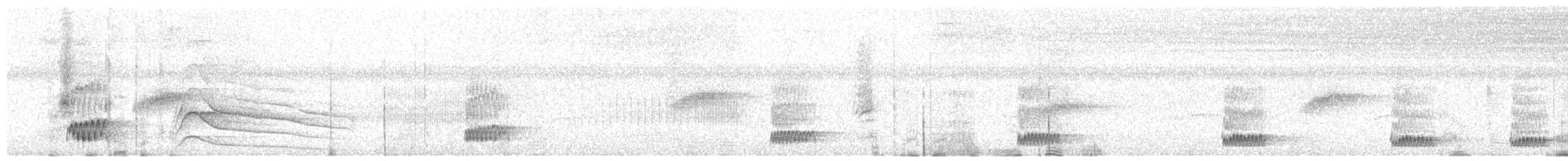 Скрытохвост татаупа - ML613613117