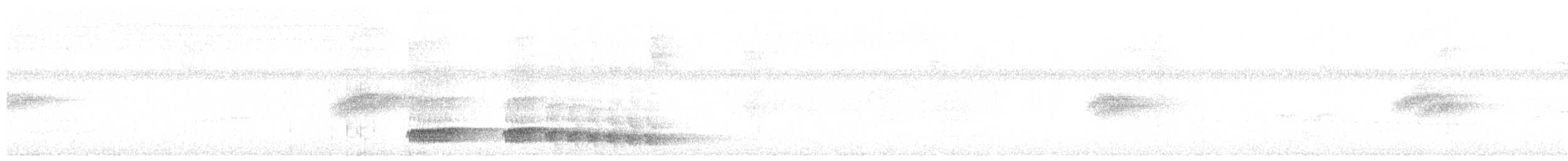 Скрытохвост татаупа - ML613613118