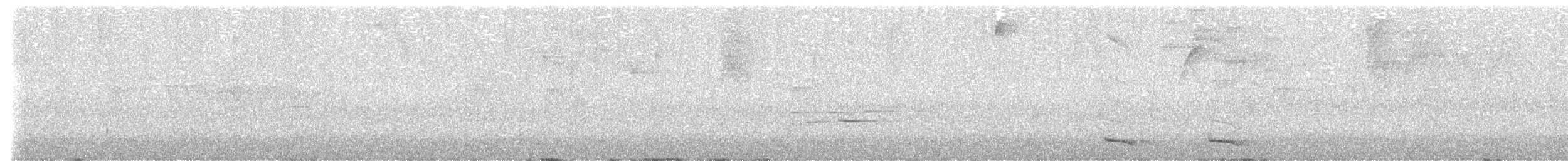 Collared Trogon - ML613618571