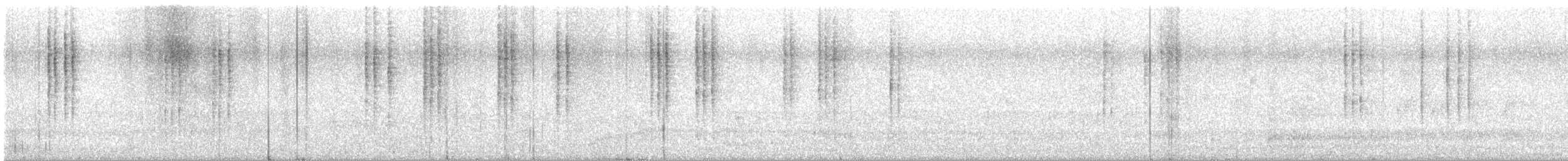 Xantus's Hummingbird - ML613619003