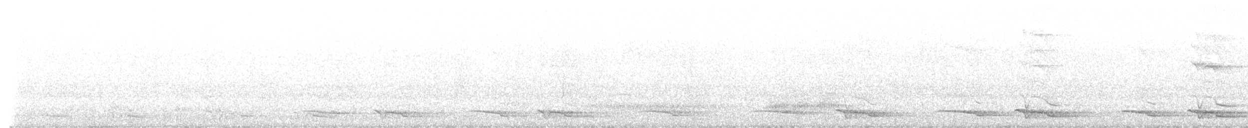 Beyaz Kuyruklu Ketzal - ML613621893