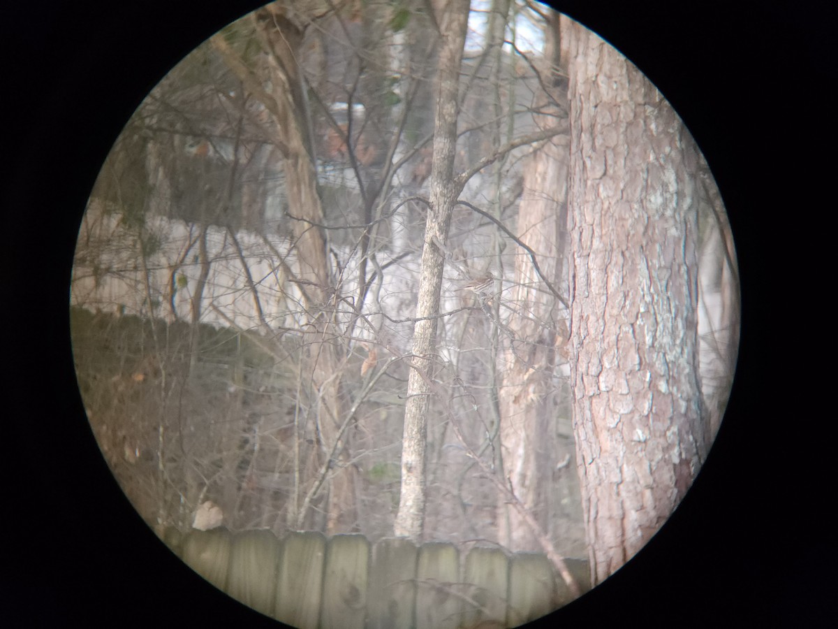 Passerella variabile - ML613623024