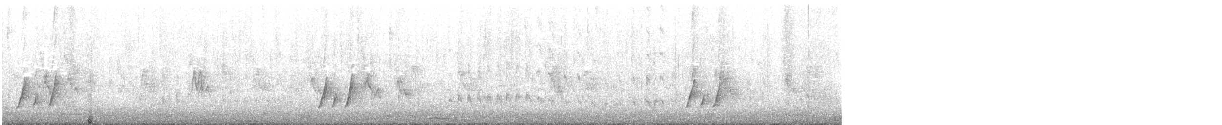 Moqueur à bec courbe (groupe palmeri) - ML613625149