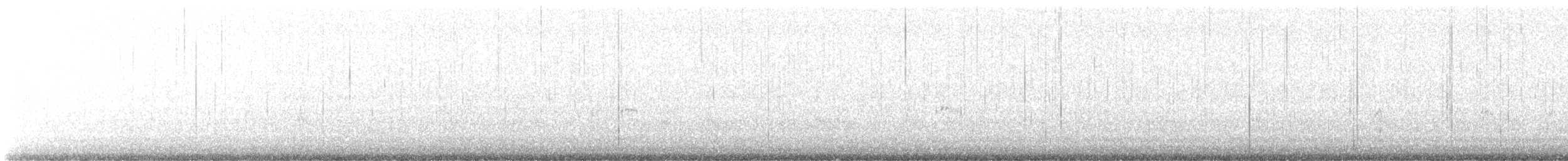 Snowy Plover - ML613626145