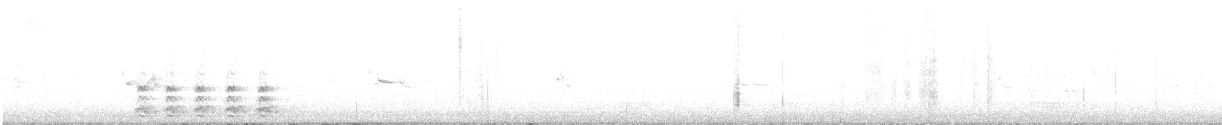 Cuervo Americano - ML613628025