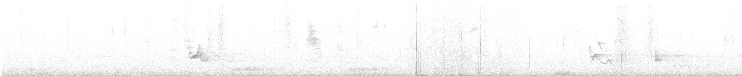 Plumbeous Vireo - ML613629985