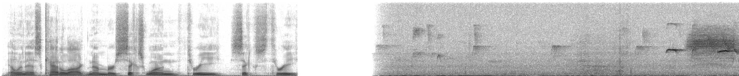 Ochre-rumped Antbird - ML61363