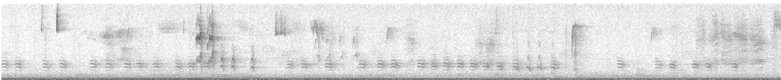 Weißbrustkleiber (carolinensis) - ML613632235