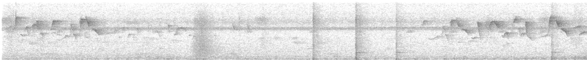 Карликовая нектарница - ML613633386