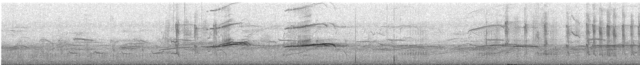 ヒメクロアジサシ - ML613634328