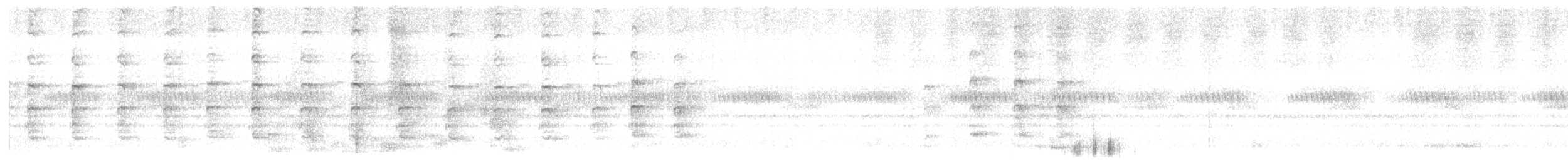 čejka běločelá - ML613636493