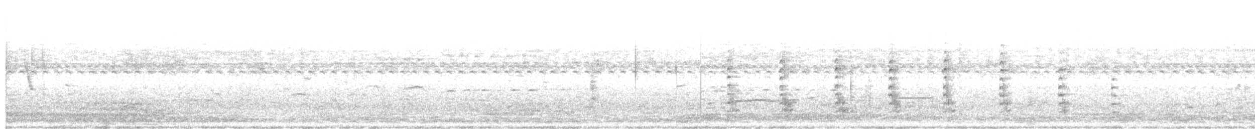 Белокрылая лысуха - ML613636833