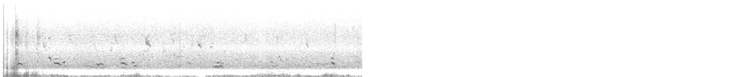 Black-necked Stilt (White-backed) - ML613636953