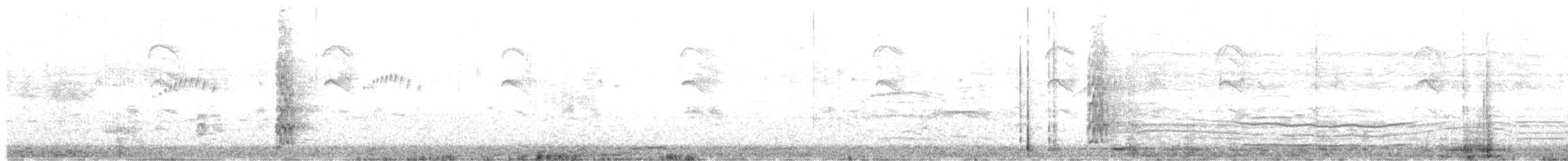 holub skvrnokřídlý - ML613637010